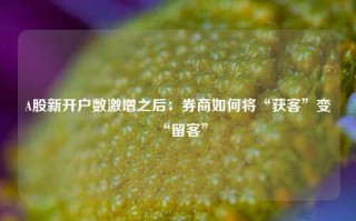 A股新开户数激增之后：券商如何将“获客”变“留客”