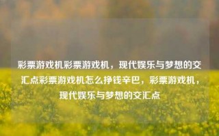 彩票游戏机彩票游戏机，现代娱乐与梦想的交汇点彩票游戏机怎么挣钱辛巴，彩票游戏机，现代娱乐与梦想的交汇点，彩票游戏机，现代娱乐与梦想的交汇点辛巴的致富之路