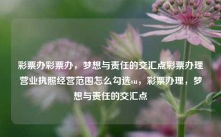 彩票办彩票办，梦想与责任的交汇点彩票办理营业执照经营范围怎么勾选su，彩票办理，梦想与责任的交汇点，彩票办理，梦想与责任的交汇点