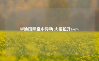 华迪国际盘中异动 大幅拉升6.63%