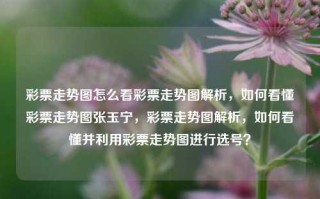 彩票走势图怎么看彩票走势图解析，如何看懂彩票走势图张玉宁，彩票走势图解析，如何看懂并利用彩票走势图进行选号？，如何看懂并利用彩票走势图进行选号？