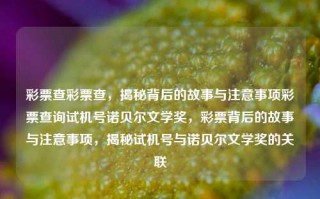 彩票查彩票查，揭秘背后的故事与注意事项彩票查询试机号诺贝尔文学奖，彩票背后的故事与注意事项，揭秘试机号与诺贝尔文学奖的关联，揭秘彩票背后的故事与注意事项，试机号与诺贝尔文学奖的关联探索