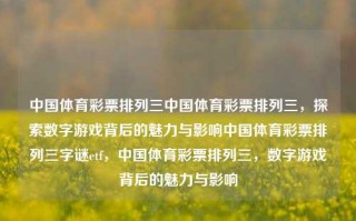 中国体育彩票排列三中国体育彩票排列三，探索数字游戏背后的魅力与影响中国体育彩票排列三字谜etf，中国体育彩票排列三，数字游戏背后的魅力与影响，中国体育彩票排列三，数字游戏背后的魅力与影响