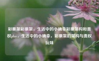 彩票架彩票架，生活中的小确幸彩票架构和责权play，生活中的小确幸，彩票架的架构与责权玩味，彩票架的架构与生活中的小确幸，权责之舞的玩味