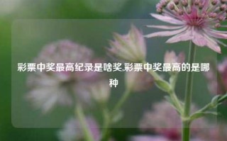 彩票中奖最高纪录是啥奖,彩票中奖最高的是哪种