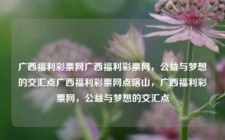 广西福利彩票网广西福利彩票网，公益与梦想的交汇点广西福利彩票网点喀山，广西福利彩票网，公益与梦想的交汇点，广西福利彩票网，公益与梦想的交汇点