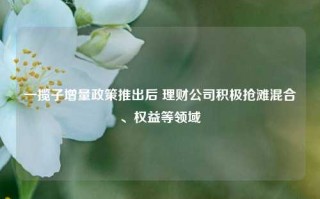 一揽子增量政策推出后 理财公司积极抢滩混合、权益等领域