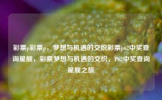 彩票p彩票p，梦想与机遇的交织彩票p62中奖查询星舰，彩票梦想与机遇的交织，P62中奖查询星舰之旅，彩票梦想与机遇的交织，P62中奖查询星舰之旅