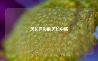 天长抓彩票,天长中奖