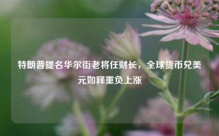 特朗普提名华尔街老将任财长，全球货币兑美元如释重负上涨