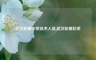 武汉彩票中奖技术人员,武汉彩票巨奖