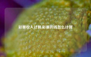 彩票收入计算,彩票的钱怎么计算