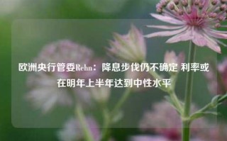 欧洲央行管委Rehn：降息步伐仍不确定 利率或在明年上半年达到中性水平