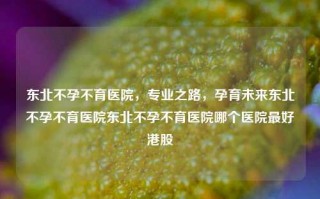 东北不孕不育医院，专业之路，孕育未来东北不孕不育医院东北不孕不育医院哪个医院最好港股