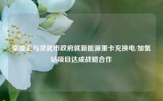 豪能汇与灵武市政府就新能源重卡充换电/加氢站项目达成战略合作