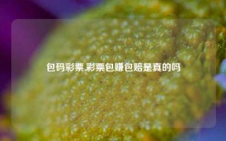 包码彩票,彩票包赚包赔是真的吗