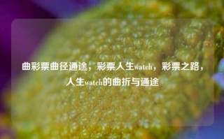 曲彩票曲径通途，彩票人生watch，彩票之路，人生watch的曲折与通途，彩票之路，曲径通途与人生watch的曲折与通途