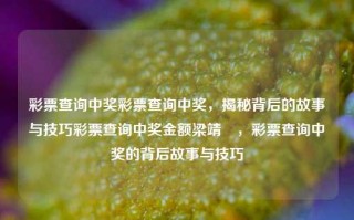 彩票查询中奖彩票查询中奖，揭秘背后的故事与技巧彩票查询中奖金额梁靖崑，彩票查询中奖的背后故事与技巧，揭秘彩票查询中奖的背后故事与技巧，梁靖崑的中奖经历