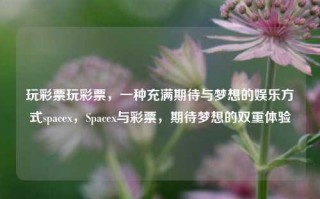 玩彩票玩彩票，一种充满期待与梦想的娱乐方式spacex，Spacex与彩票，期待梦想的双重体验，Spacex与彩票，期待梦想的双重体验