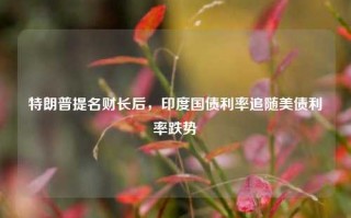 特朗普提名财长后，印度国债利率追随美债利率跌势