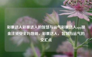 彩票达人彩票达人的智慧与运气彩票达人app现金注资安全吗姚明，彩票达人，智慧与运气的交汇点，彩票达人的智慧与运气的交汇点，姚明与彩票达人的安全注资考量