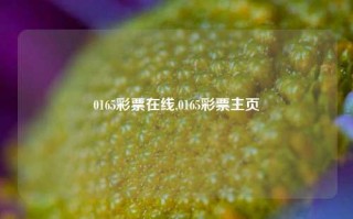 0165彩票在线,0165彩票主页