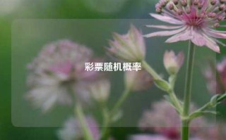 彩票随机概率