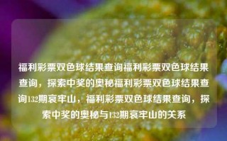 福利彩票双色球结果查询福利彩票双色球结果查询，探索中奖的奥秘福利彩票双色球结果查询132期哀牢山，福利彩票双色球结果查询，探索中奖的奥秘与132期哀牢山的关系，福利彩票双色球结果查询，探索中奖奥秘与132期哀牢山的关系