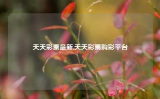 天天彩票最新,天天彩票购彩平台