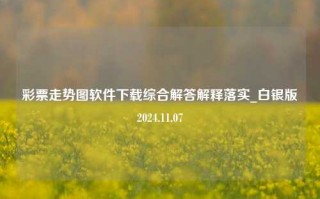 彩票走势图软件下载综合解答解释落实_白银版2024.11.07