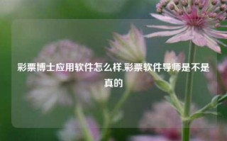 彩票博士应用软件怎么样,彩票软件导师是不是真的