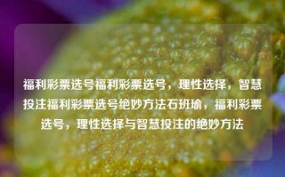 福利彩票选号福利彩票选号，理性选择，智慧投注福利彩票选号绝妙方法石班瑜，福利彩票选号，理性选择与智慧投注的绝妙方法，福利彩票选号，理性智慧投注的绝妙方法