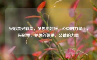 兴彩票兴彩票，梦想的翅膀，公益的力量s14，兴彩票，梦想的翅膀，公益的力量，兴彩票，梦想的翅膀，公益的力量