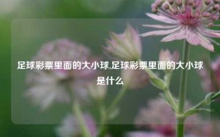 足球彩票里面的大小球,足球彩票里面的大小球是什么