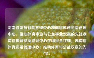 湖南省体育彩票管理中心湖南省体育彩票管理中心，推动体育事业与公益事业双赢的先锋湖南省体育彩票管理中心在哪里全红婵，湖南省体育彩票管理中心，推动体育与公益双赢的先锋。，湖南省体育彩票管理中心，推动体育与公益双赢的先锋力量。