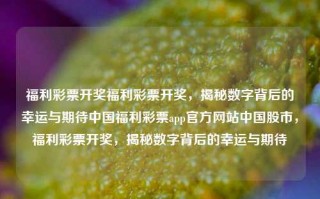 福利彩票开奖福利彩票开奖，揭秘数字背后的幸运与期待中国福利彩票app官方网站中国股市，福利彩票开奖，揭秘数字背后的幸运与期待，福利彩票开奖，揭秘数字背后的幸运与期待之旅