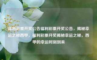 福利彩票开奖公告福利彩票开奖公告，揭秘幸运之秘西甲，福利彩票开奖揭秘幸运之秘，西甲的幸运时刻到来，福利彩票开奖揭秘，西甲幸运时刻的秘密公告