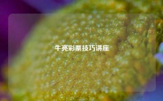 牛亮彩票技巧讲座