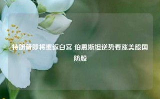 特朗普即将重返白宫 伯恩斯坦逆势看涨美股国防股