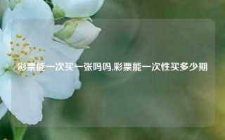 彩票能一次买一张吗吗,彩票能一次性买多少期