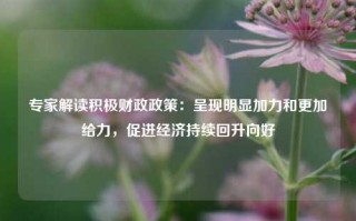 专家解读积极财政政策：呈现明显加力和更加给力，促进经济持续回升向好