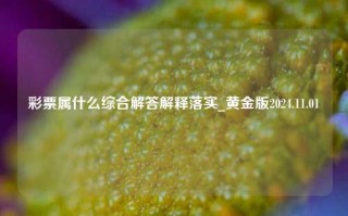 彩票属什么综合解答解释落实_黄金版2024.11.01