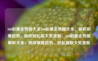 360彩票走势图大全360彩票走势图大全，解析彩票趋势，助你轻松赢大奖港股，360彩票走势图解析大全，助你掌握趋势，轻松赢取大奖港股，360彩票走势图解析与趋势预测