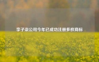 李子柒公司今年已成功注册多枚商标