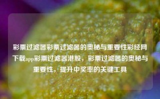 彩票过滤器彩票过滤器的奥秘与重要性彩经网下载app彩票过滤器港股，彩票过滤器的奥秘与重要性，提升中奖率的关键工具，彩票过滤器的奥秘与重要性，提升中奖率的关键工具