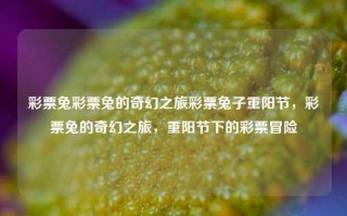 彩票兔彩票兔的奇幻之旅彩票兔子重阳节，彩票兔的奇幻之旅，重阳节下的彩票冒险，彩票兔的重阳节奇幻冒险之旅