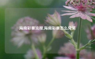 海南彩票流程,海南彩票怎么兑奖