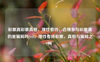 彩票真彩票真相，理性看待，合理参与彩票真的是骗局吗?etf，理性看待彩票，真相与骗局之辨，理性看待彩票，真相与骗局之辨