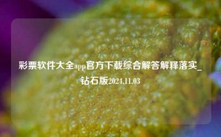 彩票软件大全app官方下载综合解答解释落实_钻石版2024.11.03