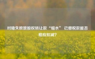 对赌失败致股权转让款“缩水” 已缴税款能否相应扣减？